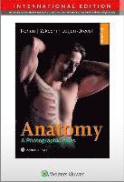 bokomslag Color Atlas of Anatomy - international edition