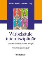 bokomslag Wirbelsäule interdisziplinär