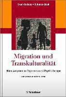 bokomslag Migration und Transkulturalität