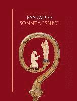bokomslag Passauer Sonntagsbibel