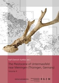 bokomslag The Pleistocene of Untermassfeld near Meiningen (Thringen, Germany)