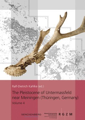 bokomslag Pleistocene of Untermassfeld near Meiningen (Thüringen, Germany)