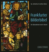 bokomslag Frankfurter Bilderbibel: Die Glasmalereien Von St. Marien