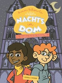 bokomslag Nachts im Dom