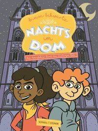 bokomslag Nachts Im Dom: Ein Comicfuhrer Durch Den Limburger Dom