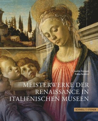 bokomslag Meisterwerke der Renaissance in italienischen Museen