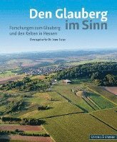 bokomslag Den Glauberg Im Sinn - Forschungen Zum Glauberg Und Den Kelten in Hessen: Ehrengabe Fur Dr. Vera Rupp