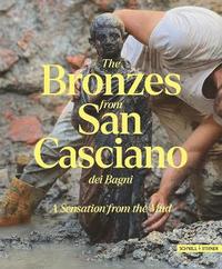 bokomslag Bronzes from San Casciano dei Bagni