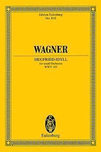 Peter Jost - Siegfried-Idyll: Small Orchestra, Häftad