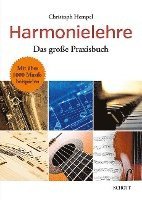 bokomslag Neue Harmonielehre
