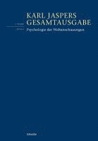 bokomslag Psychologie Der Weltanschauungen