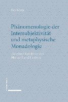 bokomslag Phanomenologie Der Intersubjektivitat Und Metaphysische Monadologie: Zu Einer Synthese Von Husserl Und Leibniz