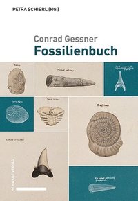 bokomslag Conrad Gessner, Fossilienbuch: Ubersetzt Und Herausgegeben Von Petra Schierl