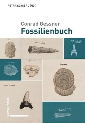 Conrad Gessner, Petra Schierl - Conrad Gessner, Fossilienbuch: Ubersetzt Und Herausgegeben Von Petra Schierl, Inbunden