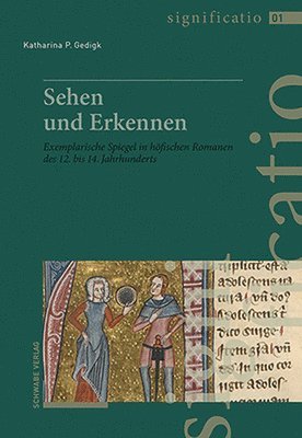 Sehen Und Erkennen: Exemplarische Spiegel in Hofischen Romanen Des 12. Bis 14. Jahrhunderts 1