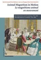 bokomslag Animal Magnetism in Motion / Le Magnetisme Animal En Mouvement: Reconfigurations and Circulations, 1776-1848 / Reconfigurations Et Circulations, 1776-