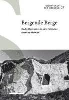 bokomslag Bergende Berge: Reduitfantasien in Der Literatur