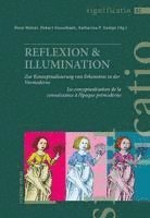 bokomslag Reflexion & Illumination: Facetten Analogischer Bedeutungsbildung in Der Vormoderne / Facettes de la Construction de Sens Par Analogie a l'Epoque Prem