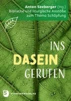 bokomslag Ins Dasein gerufen