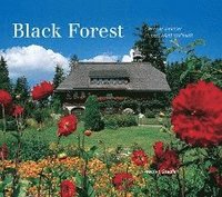 bokomslag Black Forest