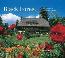 Black Forest 1