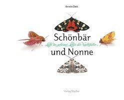 bokomslag Schönbär und Nonne