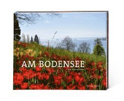 Rolf Zimmermann - Am Bodensee, Inbunden