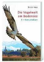 bokomslag Die Vogelwelt am Bodensee
