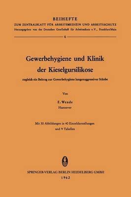 bokomslag Gewerbehygiene und Klinik der Kieselgursilikose