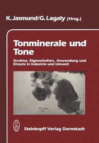 bokomslag Tonminerale und Tone