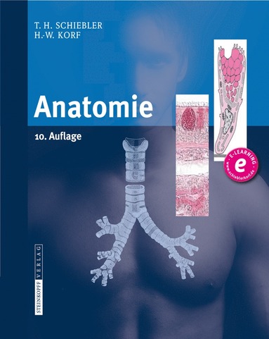 bokomslag Anatomie