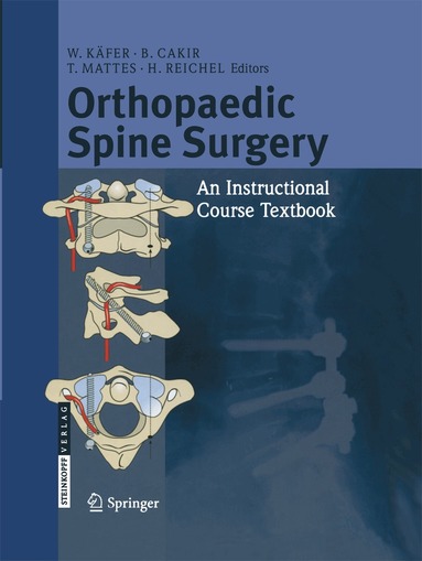 W. Käfer, B. Cakir, T. Mattes, H. Reichel - Orthopaedic Spine Surgery, Häftad