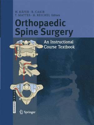 bokomslag Orthopaedic Spine Surgery