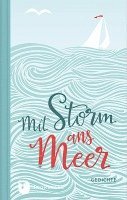 bokomslag Mit Storm ans Meer