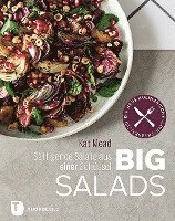 bokomslag Big Salads