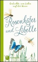 Rosenkäfer und Libelle 1