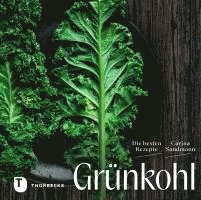 Grünkohl 1