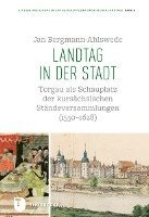 bokomslag Landtag in Der Stadt: Torgau ALS Schauplatz Der Kursachsischen Standeversammlungen (1550-1628). Eine Kulturgeschichtliche Studie Zur Etablie
