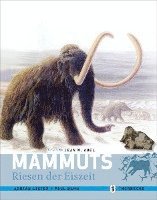 bokomslag Mammuts