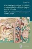 Wasserkraftnutzung Im Mittelalter in Sudwestdeutschland Und Angrenzenden Gebieten: Muhlen, Sagen, Hammerwerke Und Andere Wassergetriebene Anlagen