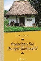 bokomslag Sprechen Sie Burgenländisch