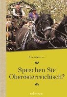 bokomslag Sprechen Sie Oberösterreichisch