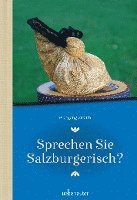 bokomslag Sprechen Sie Salzburgerisch