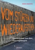 bokomslag Vom Stürzen und Wiederaufstehen