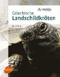 bokomslag Griechische Landschildkröten