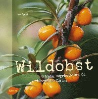 bokomslag Wildobst