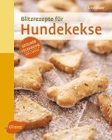 bokomslag Blitzrezepte für Hundekekse