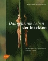 bokomslag Das geheime Leben der Insekten