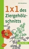 bokomslag 1 x 1 des Ziergehölzschnitts