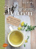 Heilpflanzen-Kuren 1